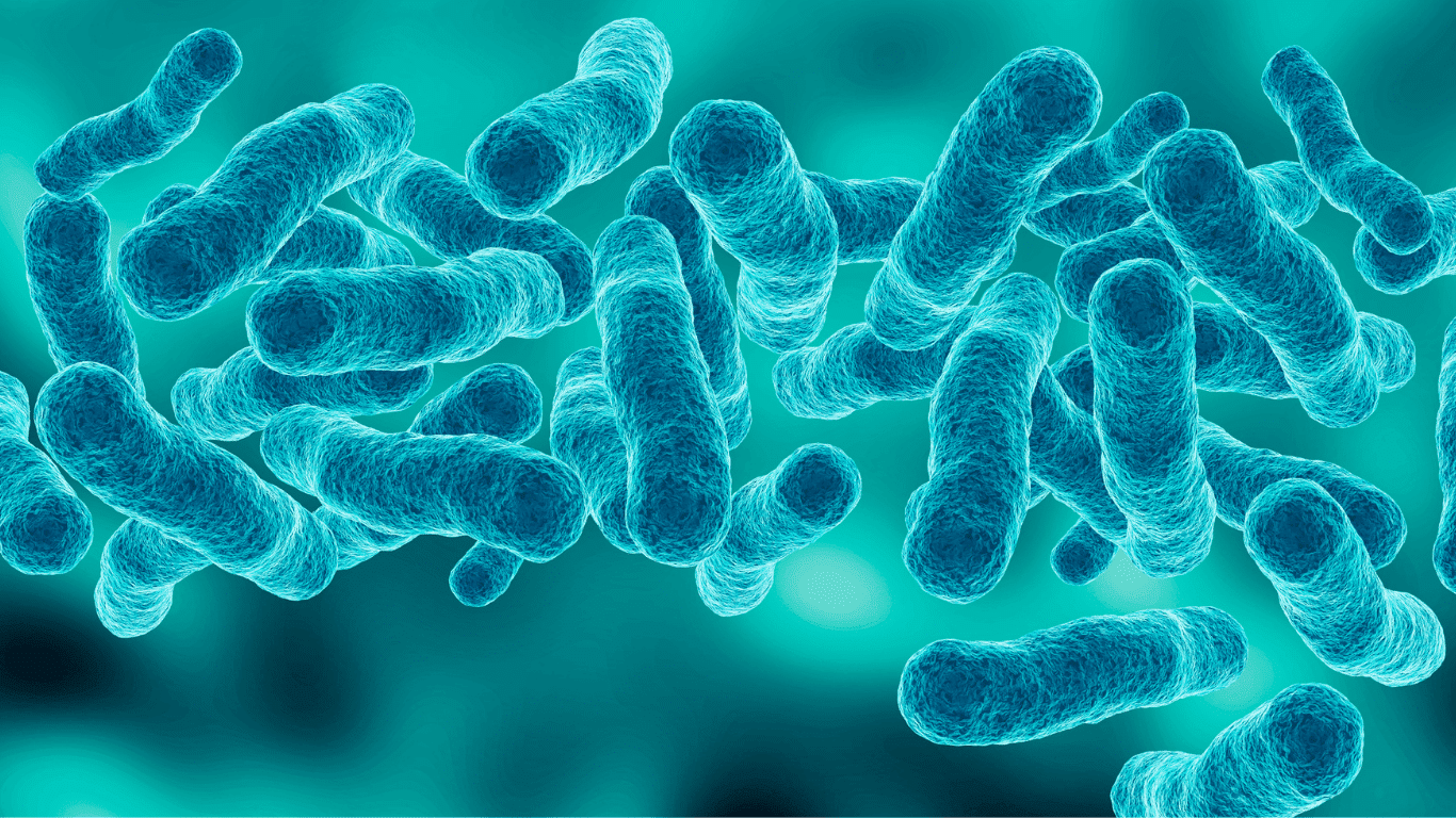 Microscopic view of Legionella bacteria associated with Legionnaires disease, legionella infection, contaminated water, and water quality risks in building water systems.