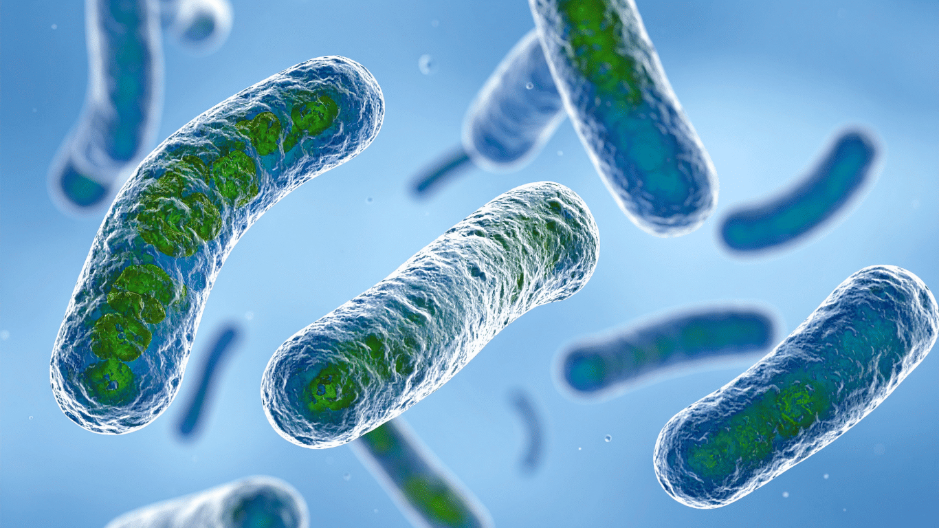Microscopic illustration of live Legionella bacteria associated with contaminated water and water systems, representing Legionnaires disease and respiratory infection risks.
