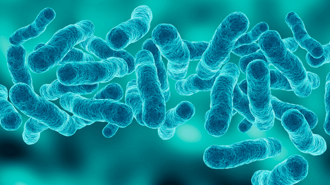 Illustration of Legionella bacteria in building water systems, highlighting Legionella regulations, water management, Legionella growth, Legionnaires disease, risk assessment, cooling towers, water systems, and control measures for safer building water management.